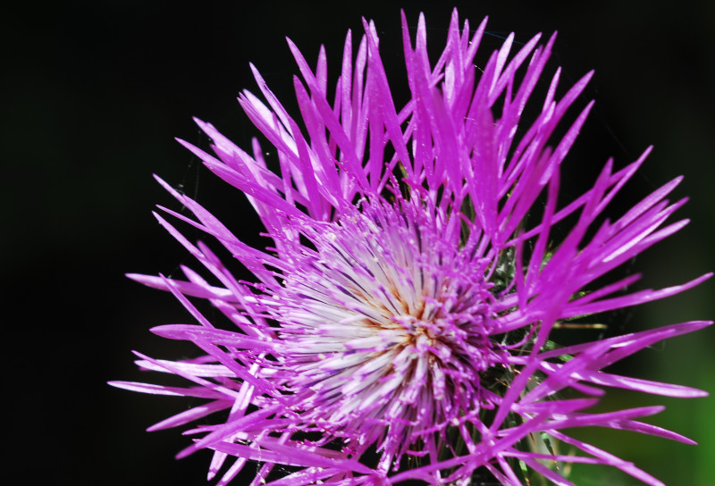 Illustration de l'actualité