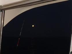 Illustration de la galerie