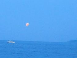 Illustration de la galerie