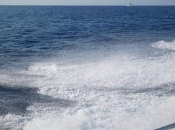 Illustration de la galerie