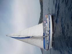 Illustration de la galerie