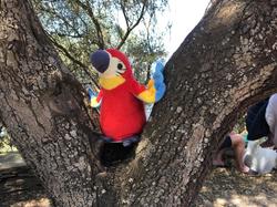 Illustration de la galerie