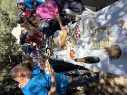 Illustration de la galerie