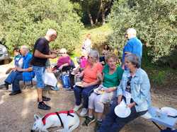 Illustration de la galerie