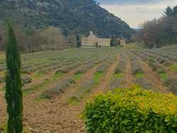 Illustration de la galerie